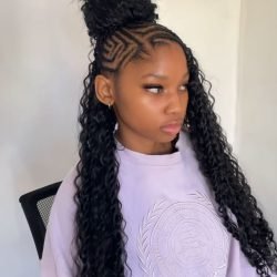 fulani lemonade braids
